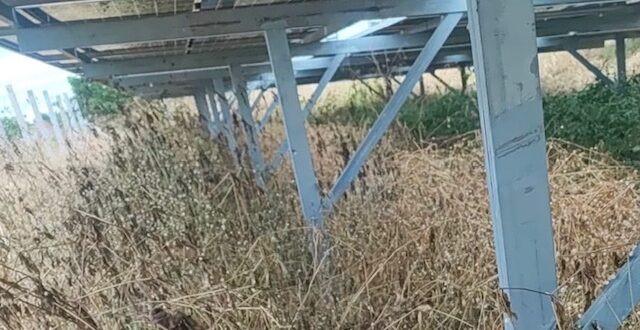 Roubo de cabos interrompe funcionamento de usina solar em Ouricuri
