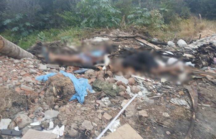 Corpos com sinais de violência são encontrados na Zona Rural de Petrolina