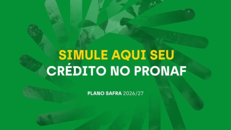 Simulador do PRONAF auxilia agricultores a consultar crédito