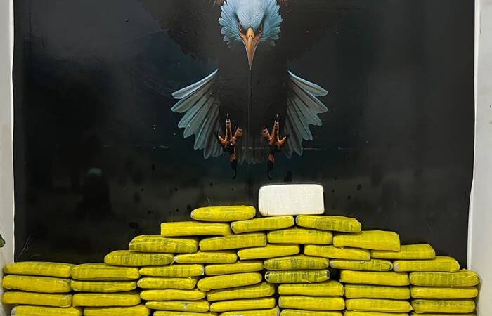 Nova operação apreende 1,2 kg de cocaína e mais de 50 kg de maconha em Petrolina