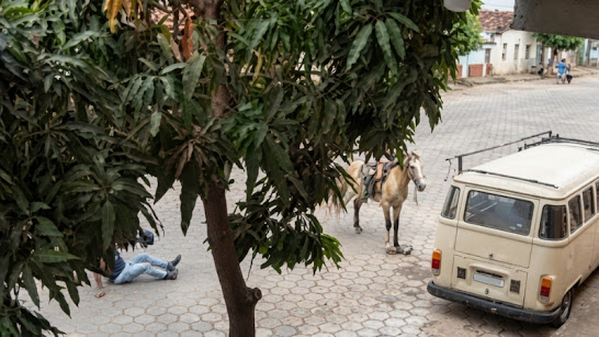 Homem leva coice de cavalo, se revolta e revida: “Satanás, quer morrer?”; Veja