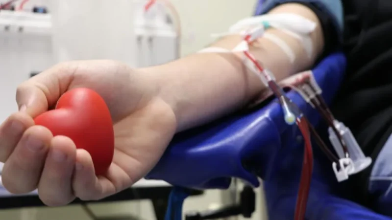 Doação de sangue terá novas regras para tatuagem, câncer e medicamentos