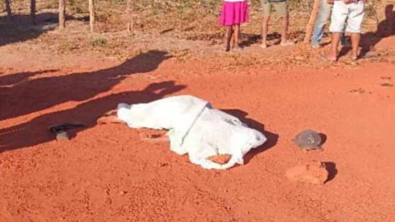 Motociclista perde o controle da moto, sofre grave acidente e morre no distrito de Serrolândia em Ipubi