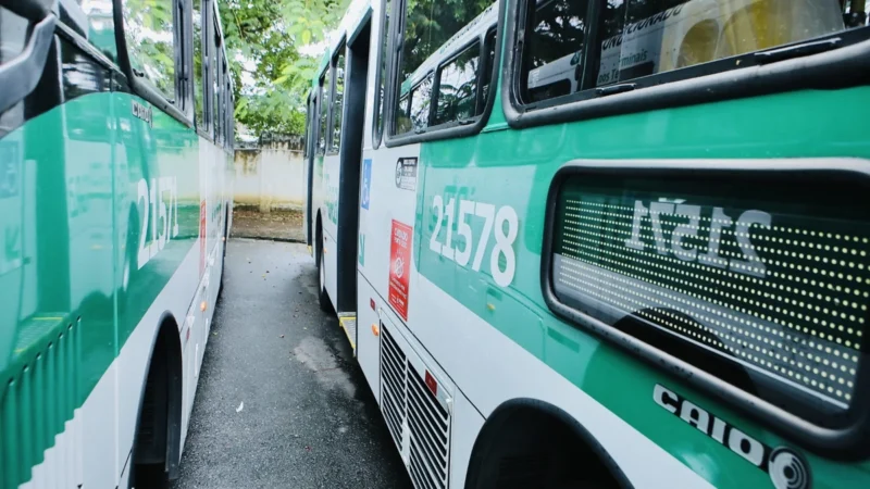 Nova lei permite que mulheres e idosos escolham onde descer do ônibus à noite