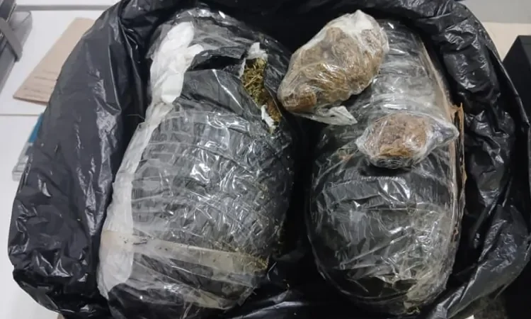 PM APREENDE QUASE 1,5 KG DE MACONHA DURANTE ABORDAGEM A ÔNIBUS EM DORMENTES