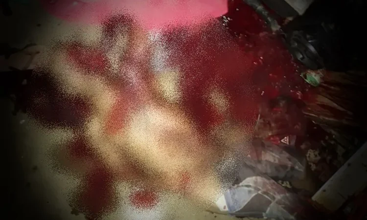 DUPLO HOMICÍDIO DENTRO DE RESIDÊNCIA EM RIBEIRÃO; UM DELES SERIA SUSPEITO DE PARTICIPAR DO CRIME