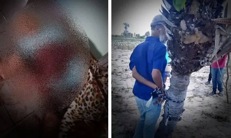 IDOSA É ASSASSINADA A FACADAS PELO PRÓPRIO FILHO NA ZONA RURAL DE CAETÉS