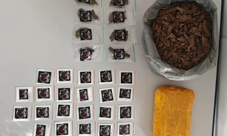 POLÍCIA MILITAR APREENDE MAIS DE 1,7 KG DE COCAÍNA E MACONHA EM IMÓVEL USADO COMO DEPÓSITO DE DROGAS, EM PETROLINA