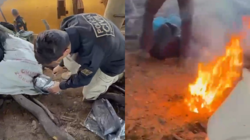 Polícia Civil incinera quase uma tonelada de entorpecentes em Cabrobó, no Sertão de Pernambuco