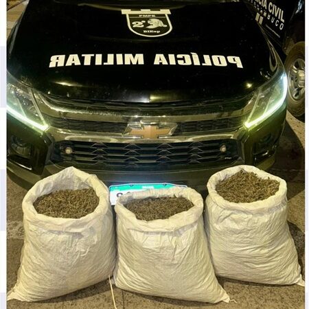 Polícia Militar apreende mais de 20 kg de maconha em Afrânio