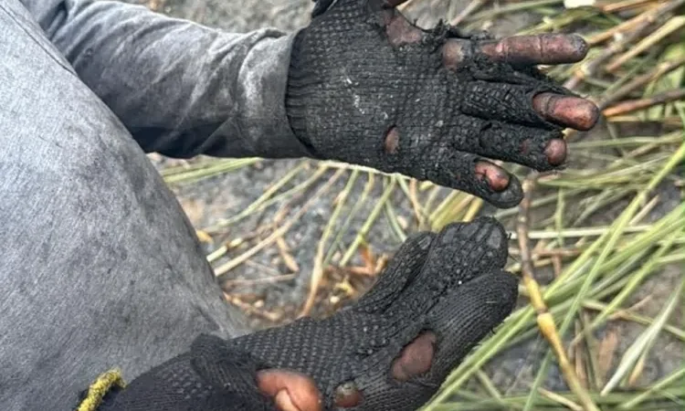 MTE ENCONTRA MAIS DE 800 TRABALHADORES EM SITUAÇÃO IRREGULAR EM CANAVIAIS DE PERNAMBUCO