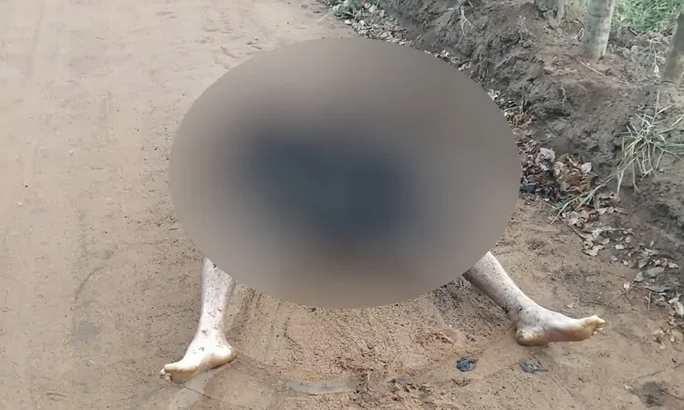 CORPO DE HOMEM É ENCONTRADO CARBONIZADO NA ZONA RURAL DE BOM CONSELHO