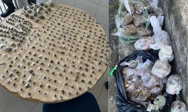 PM APREENDE 360 PORÇÕES DE MACONHA EM JABOATÃO DOS GUARARAPES
